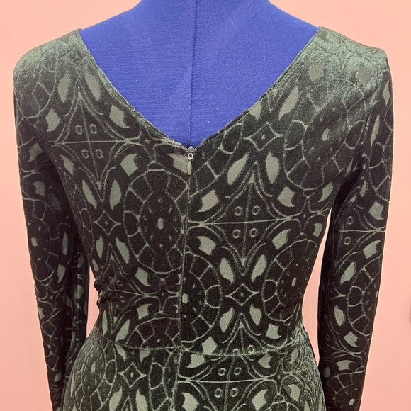 Velvet Dress - Picture 5 of 6